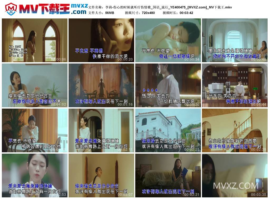 李莉-伤心的时候就听疗伤情歌_国语_流行_YE400475